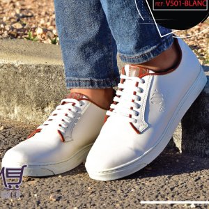 V501-blanc